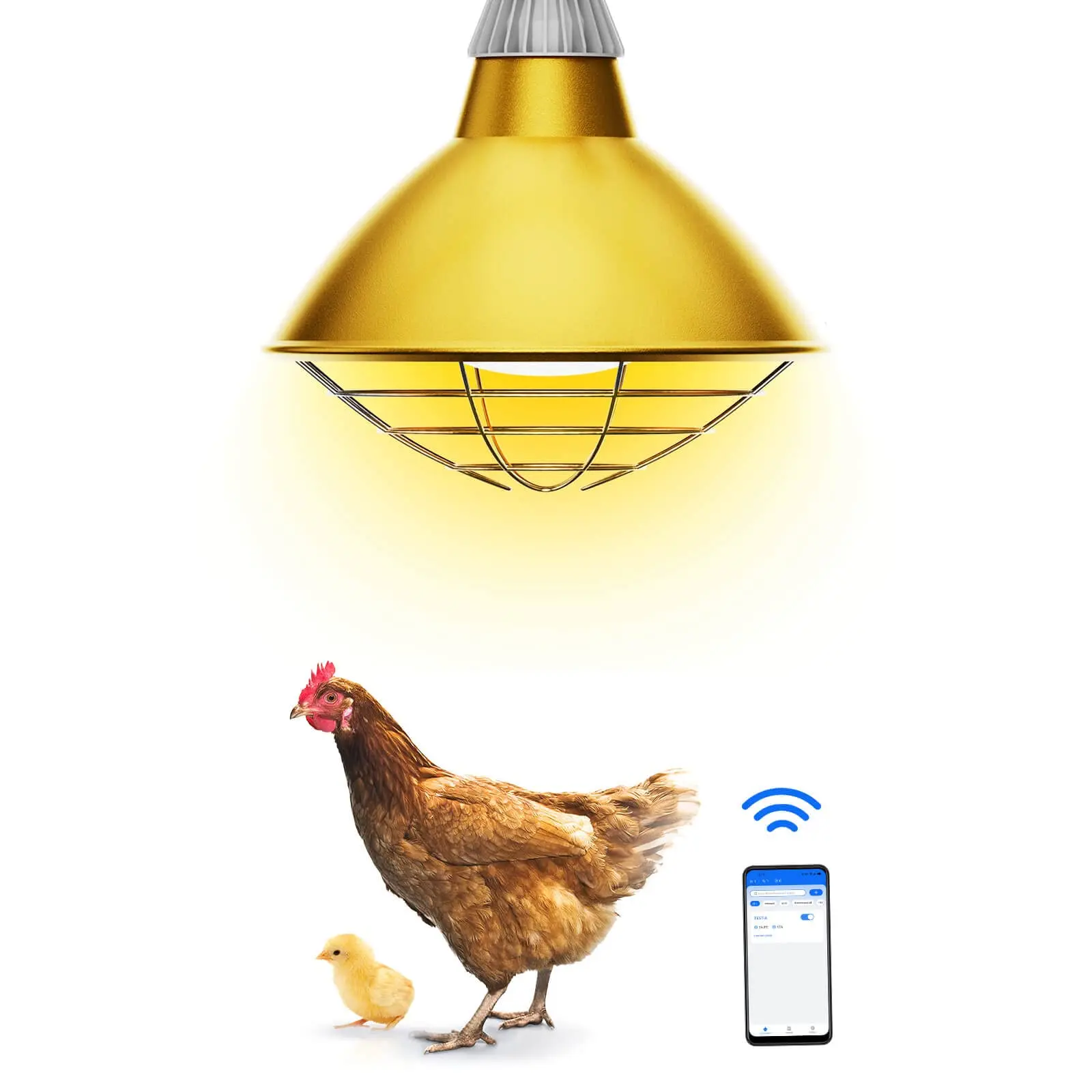 Lámparas para gallinas: cómo afecta la luz a las aves