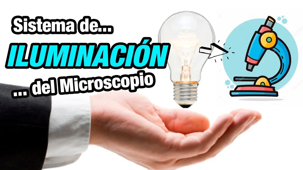 sistema de iluminacion del microscopio - Cuáles son los 3 sistemas del microscopio y sus funciones