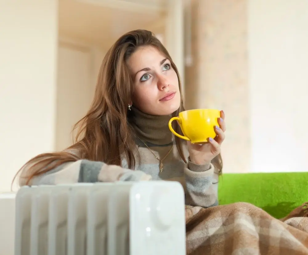 estufa eléctrica pantalla - Cuánto tiempo puede estar encendida una estufa eléctrica