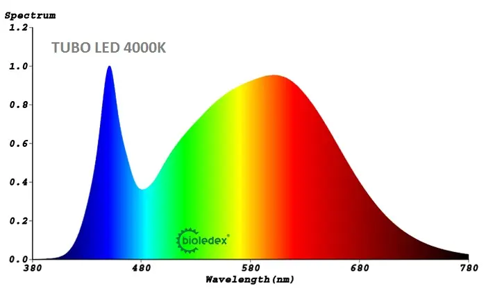 espectro de lampara fluorescente - Cuántos luxes tiene una lámpara fluorescente